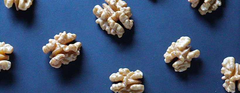 Wallnüsse sehen aus wie Gehirne als Symbol wie das Lernen lernen geht 