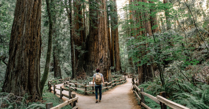 Schüler an Weggabelung als Symbol für Hilfe bei  Berufswahl