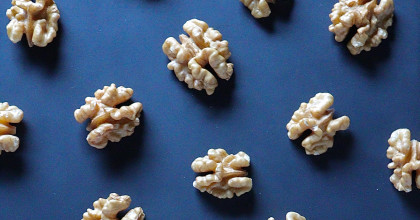 Wallnüsse sehen aus wie Gehirne als Symbol wie das Lernen lernen geht 